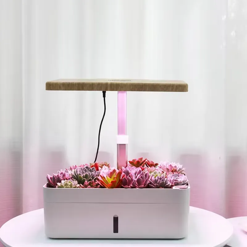 12 Tube Hydroponic Growing Sys - Smart Garden Youtube 评论和价格