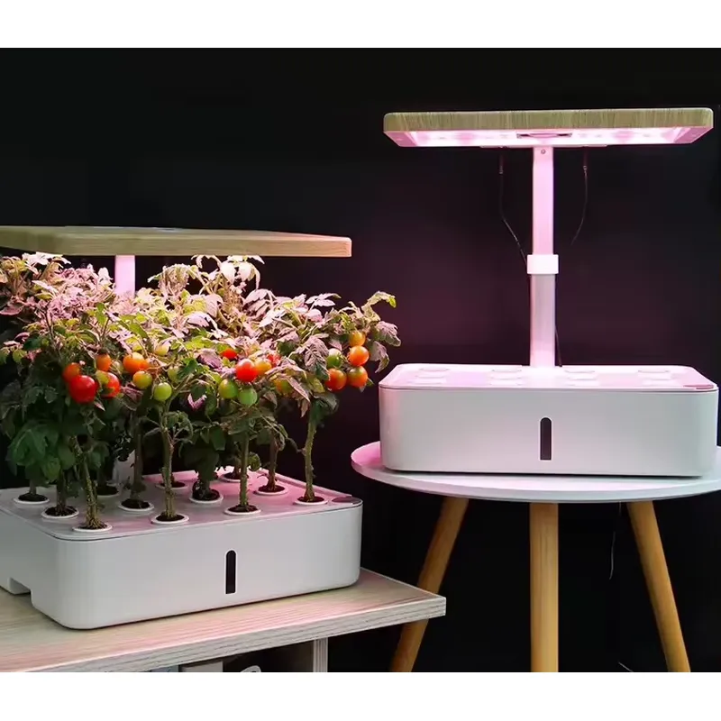 12 Tube Hydroponic Growing Sys - Smart Garden Youtube 评论和价格