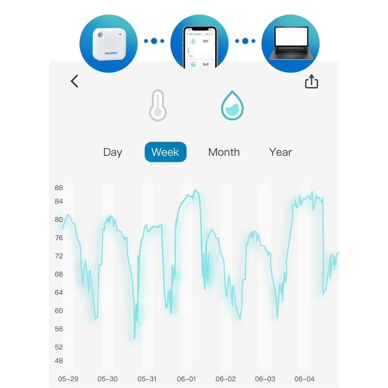 INKBIRD IBS-TH3 WIFI Thermomet - Rain Gauge Digital 评论和价格