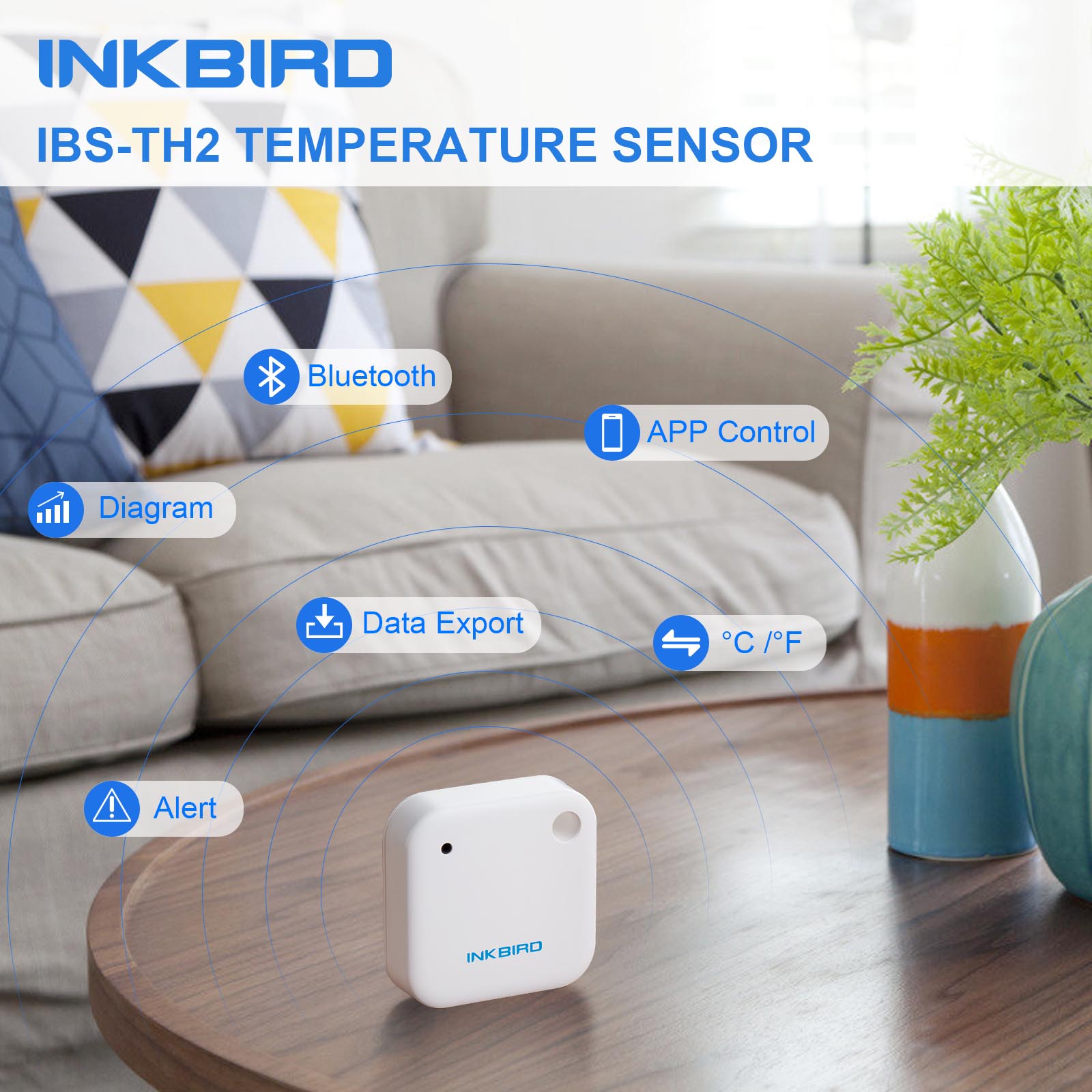 IBS-TH2 Waterproof Bluetooth M - Rain Gauge Digital 评论和价格