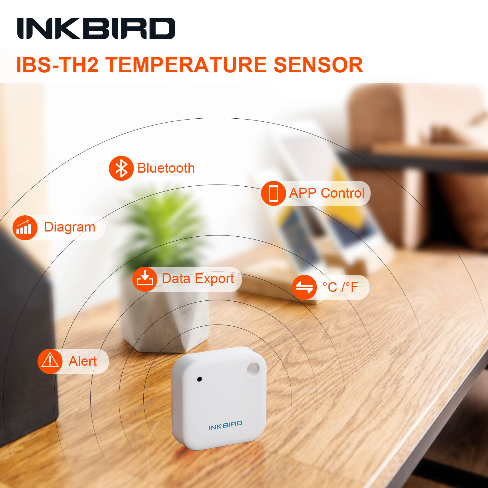 INKBIRD IBS-TH2 Bluetooth Magn - Rain Gauge Digital 评论和价格