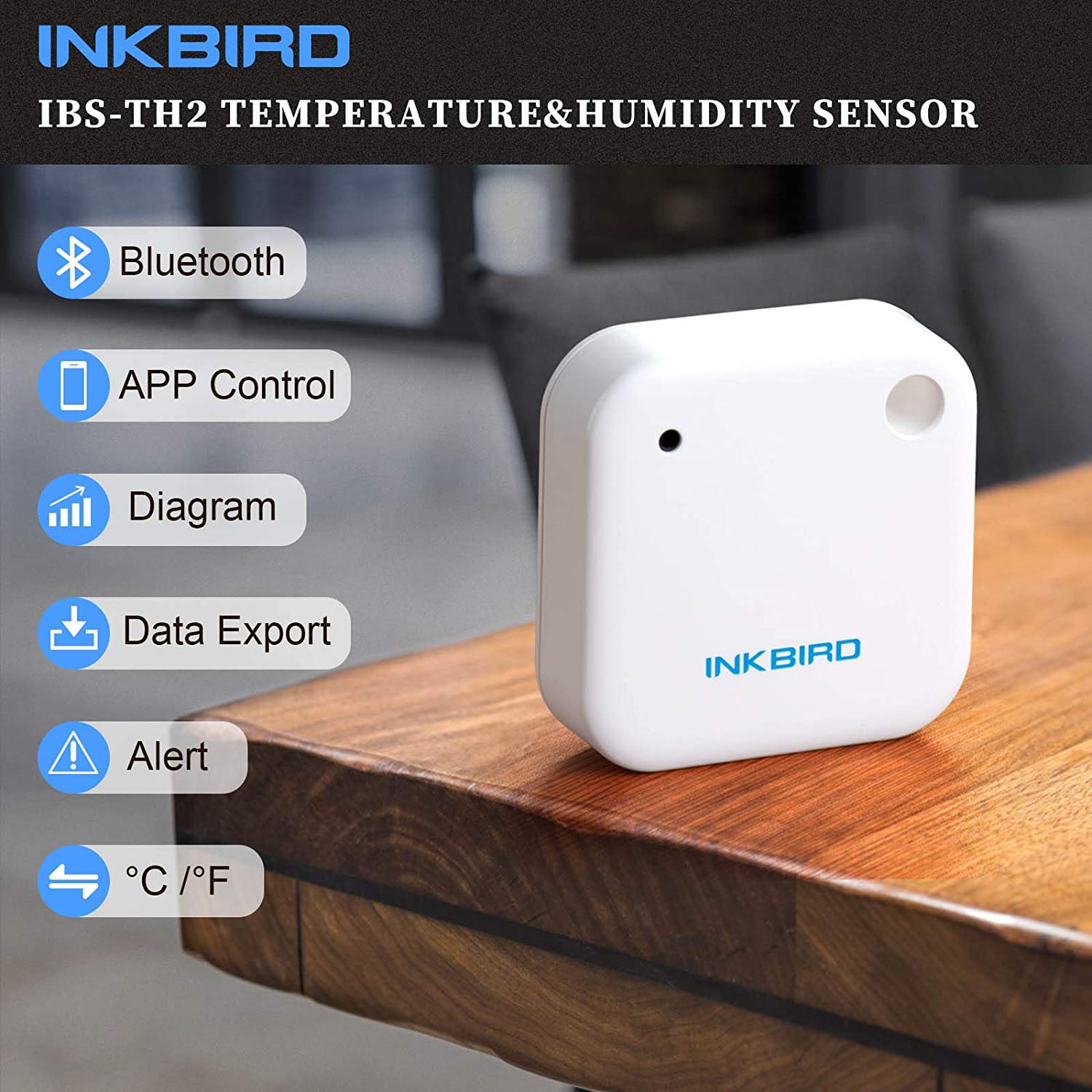 IBS-TH2 Waterproof Bluetooth M - Rain Gauge Digital 评论和价格