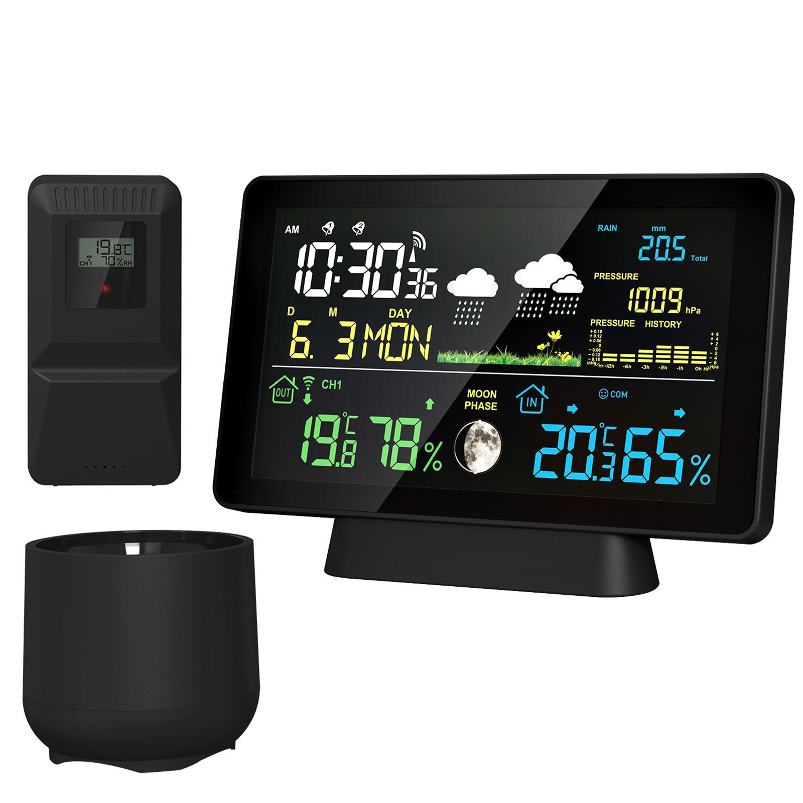Indoor/Outdoor Wireless Weathe - Rain Gauge Digital 评论和价格