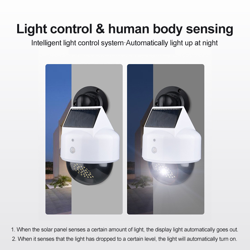 Solar Simulation Camera Motion - Smart Garden Solar Lights 评论和价格